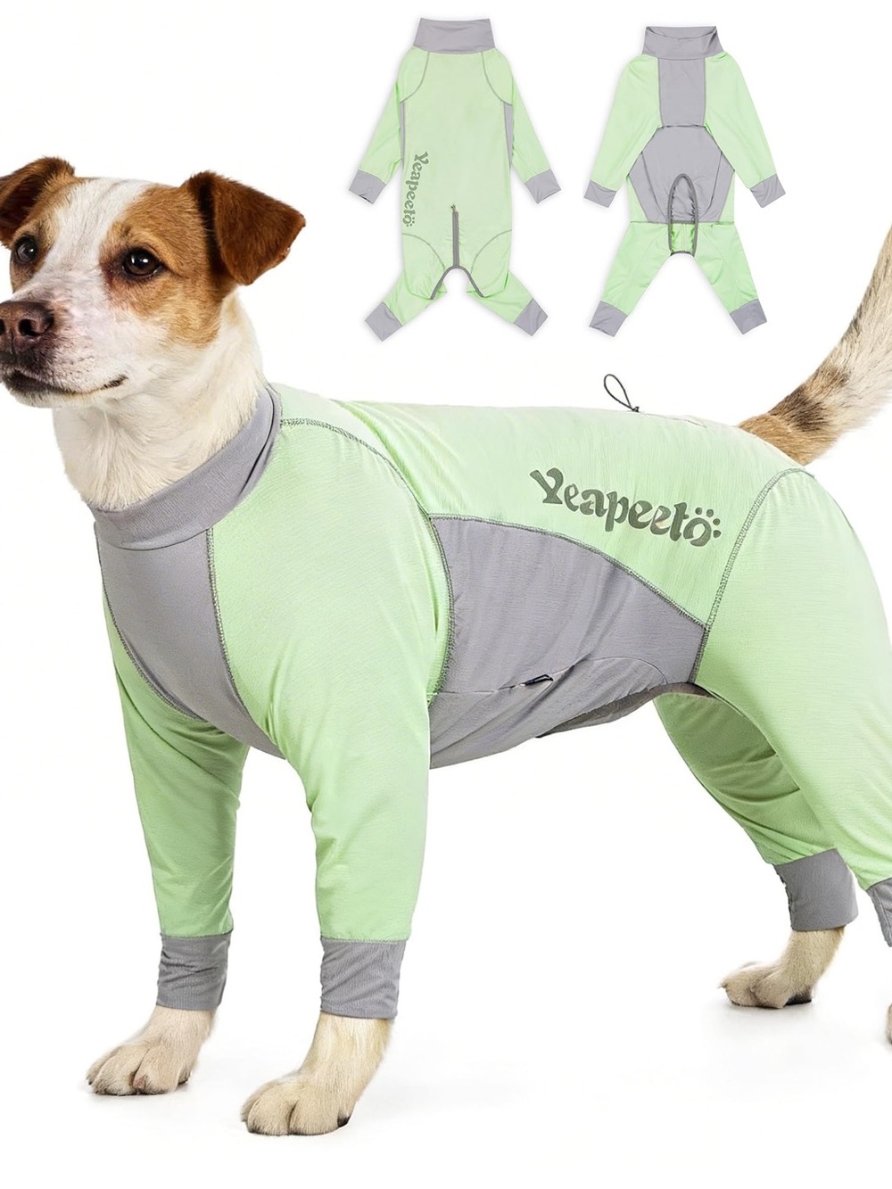 Mint & Gray Full Coverage Dog Bodysuit